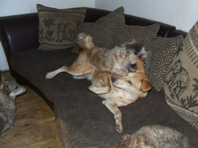 DSCF5679.jpg