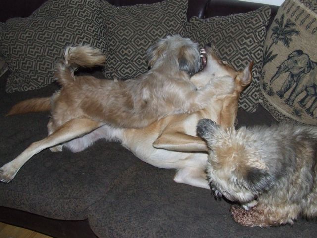 DSCF5680.jpg
