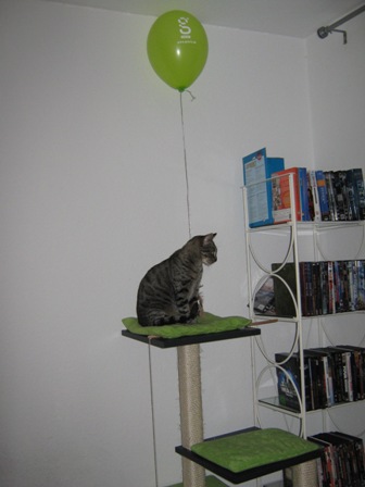 Cleo Home1