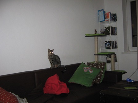CleoHome2