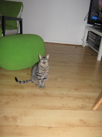 CleoHome4