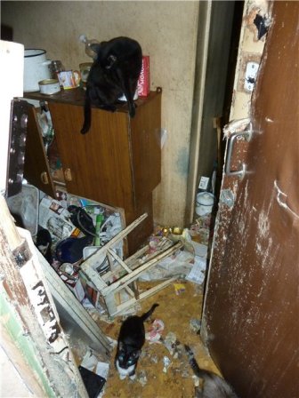 wohnung1