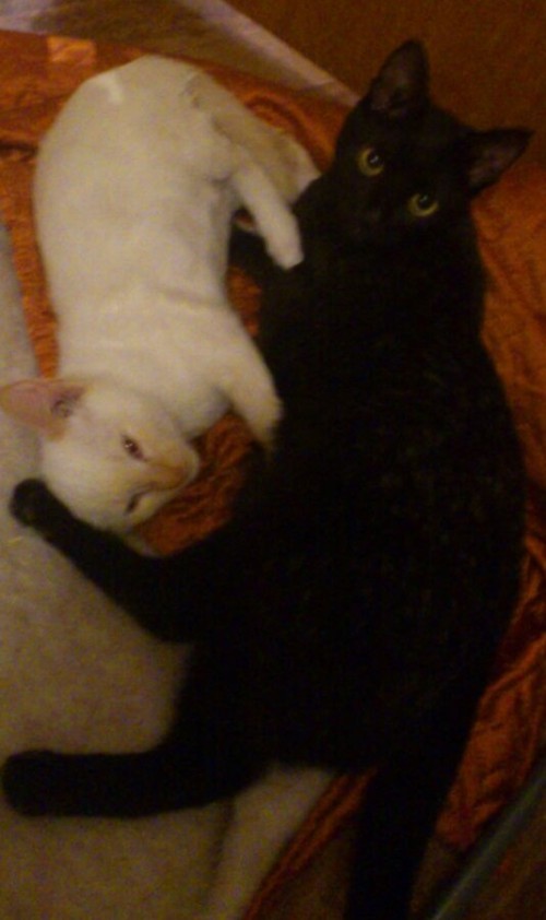 IMG-20141225-WA0003-e1421522642871.jpg